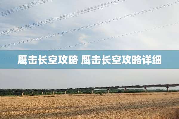 鹰击长空攻略 鹰击长空攻略详细
