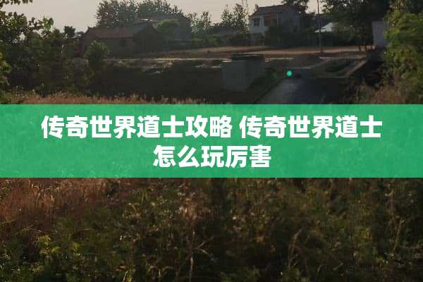 传奇世界道士攻略 传奇世界道士怎么玩厉害