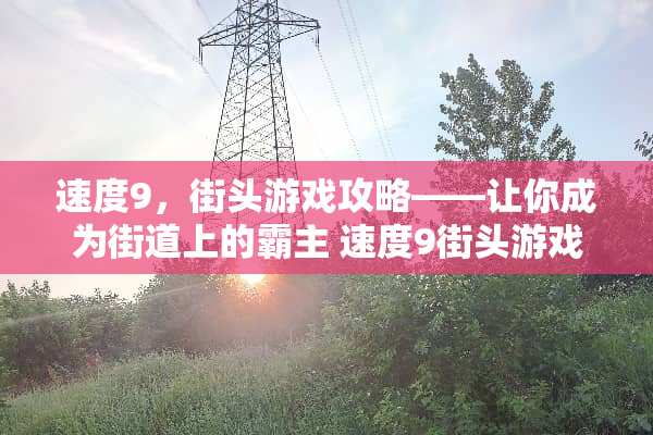 速度9，街头游戏攻略——让你成为街道上的霸主 速度9街头游戏攻略