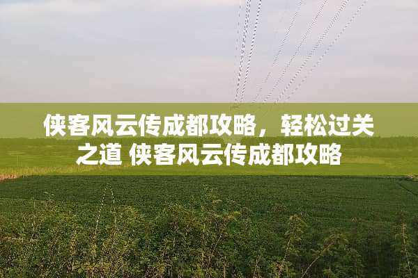侠客风云传成都攻略，轻松过关之道 侠客风云传成都攻略