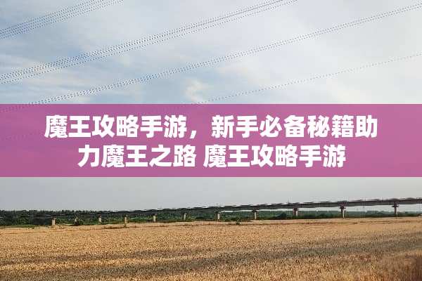 魔王攻略手游，新手必备秘籍助力魔王之路 魔王攻略手游