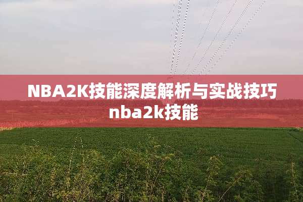 NBA2K技能深度解析与实战技巧 nba2k技能