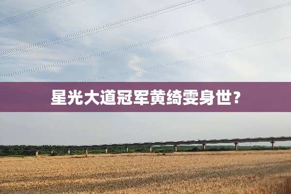 星光大道冠军黄绮雯身世？