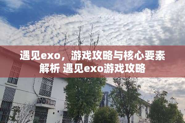 遇见exo，游戏攻略与核心要素解析 遇见exo游戏攻略