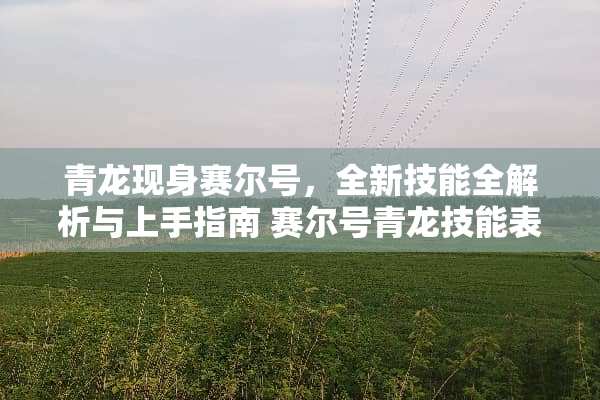 青龙现身赛尔号，全新技能全解析与上手指南 赛尔号青龙技能表