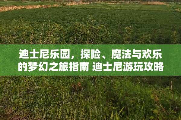 迪士尼乐园，探险、魔法与欢乐的梦幻之旅指南 迪士尼游玩攻略