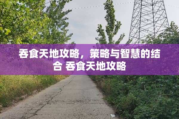 吞食天地攻略，策略与智慧的结合 吞食天地攻略