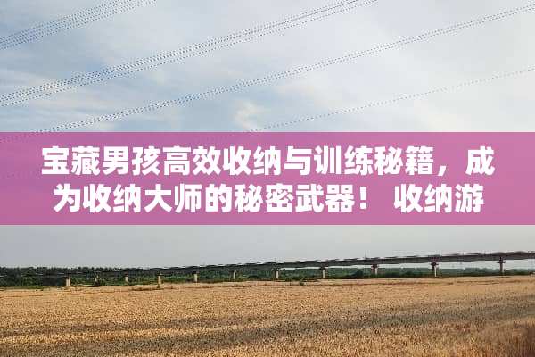 宝藏男孩高效收纳与训练秘籍，成为收纳大师的秘密**！ 收纳游戏宝藏男孩攻略