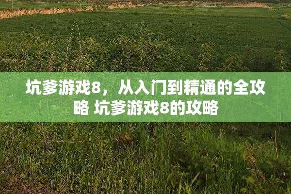 坑爹游戏8，从入门到精通的全攻略 坑爹游戏8的攻略