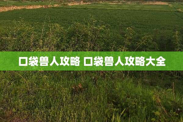 口袋兽人攻略 口袋兽人攻略大全