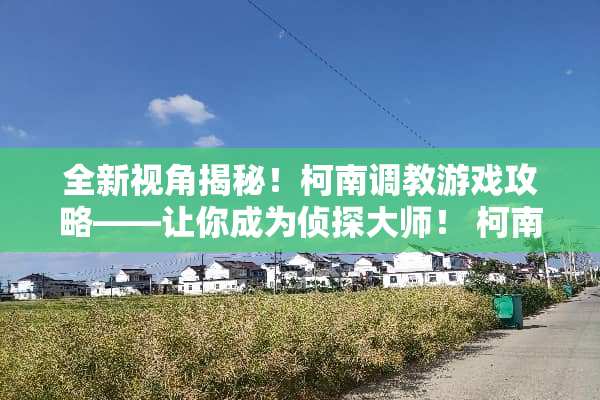 全新视角揭秘！柯南**游戏攻略——让你成为侦探大师！ 柯南**游戏攻略