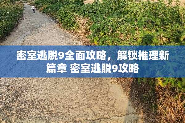 密室逃脱9全面攻略，解锁推理新篇章 密室逃脱9攻略