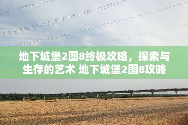 **城堡2图8终极攻略，探索与生存的艺术 **城堡2图8攻略