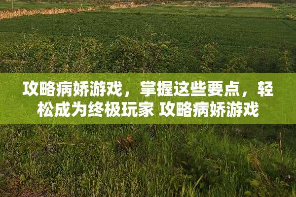 攻略病娇游戏，掌握这些要点，轻松成为终极玩家 攻略病娇游戏