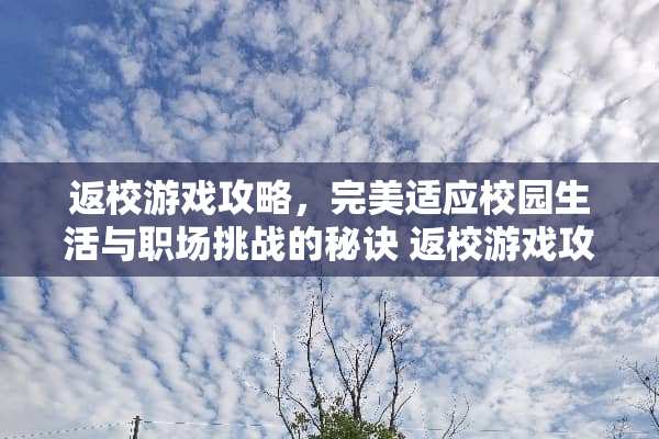 返校游戏攻略，完美适应校园生活与职场挑战的秘诀 返校游戏攻略