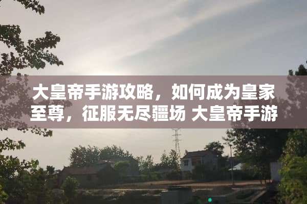 大皇帝手游攻略，如何成为皇家至尊，征服无尽疆场 大皇帝手游攻略