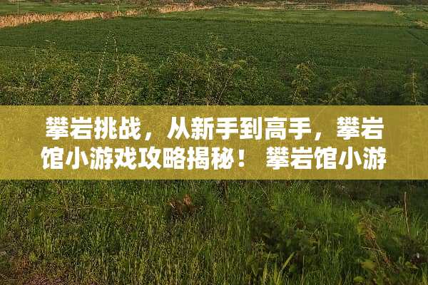 攀岩挑战，从新手到高手，攀岩馆小游戏攻略揭秘！ 攀岩馆小游戏攻略