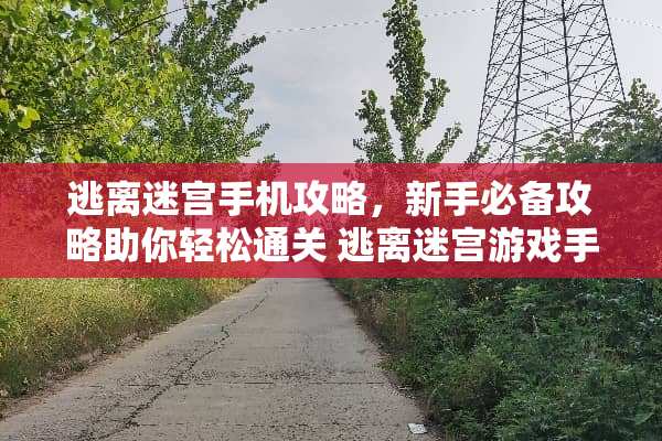 逃离迷宫手机攻略，新手必备攻略助你轻松通关 逃离迷宫游戏手机攻略