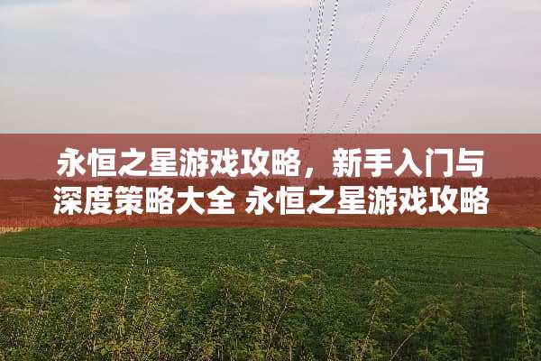 永恒之星游戏攻略，新手入门与深度策略大全 永恒之星游戏攻略
