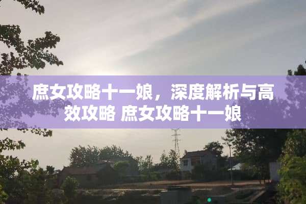 庶女攻略十一娘，深度解析与高效攻略 庶女攻略十一娘