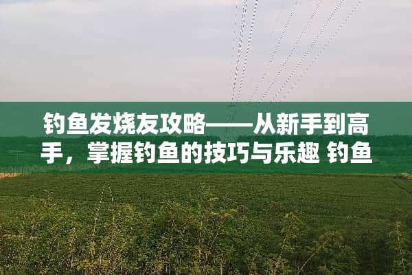 钓鱼发烧友攻略——从新手到高手，掌握钓鱼的技巧与乐趣 钓鱼发烧友攻略