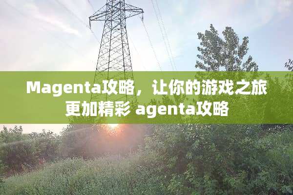 Magenta攻略，让你的游戏之旅更加精彩 agenta攻略