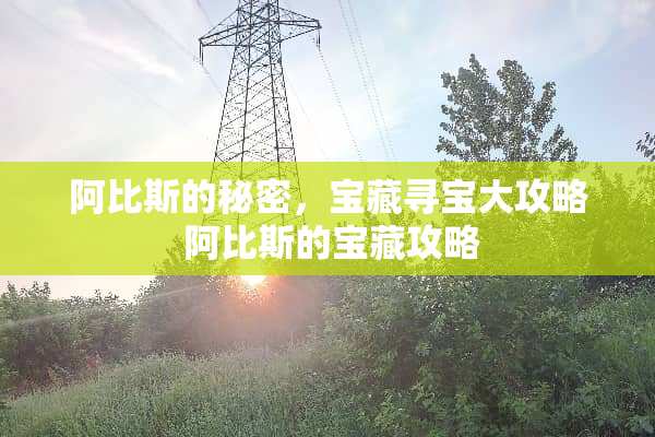 阿比斯的秘密，宝藏寻宝大攻略 阿比斯的宝藏攻略