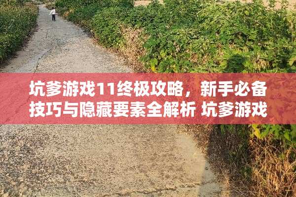 坑爹游戏11终极攻略，新手必备技巧与隐藏要素全解析 坑爹游戏11攻略