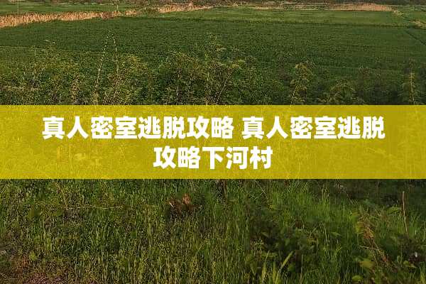 真人密室逃脱攻略 真人密室逃脱攻略下河村