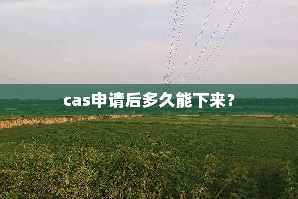 cas申请后多久能下来？