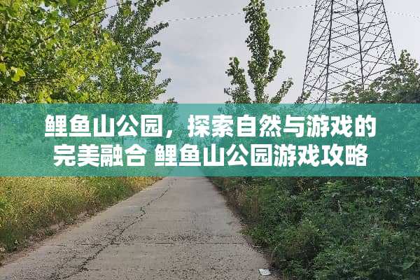 鲤鱼山公园，探索自然与游戏的完美融合 鲤鱼山公园游戏攻略