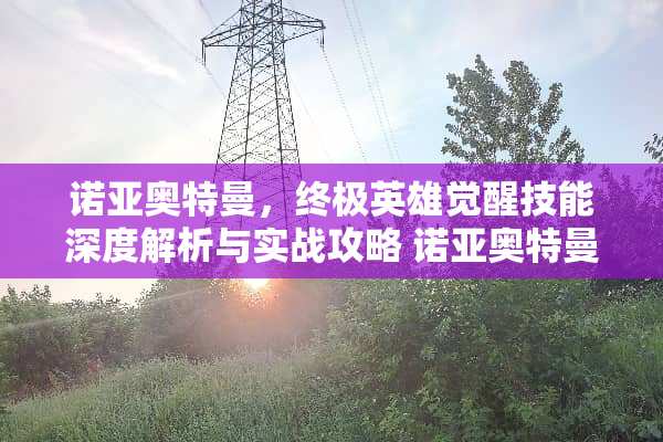 诺亚奥特曼，终极英雄觉醒技能深度解析与实战攻略 诺亚奥特曼技能