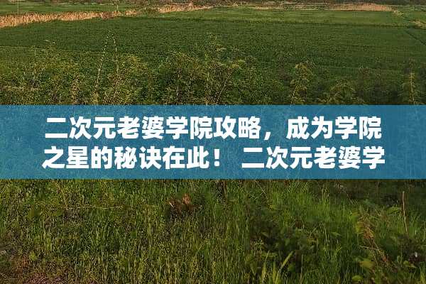 二次元老婆学院攻略，成为学院之星的秘诀在此！ 二次元老婆学院攻略