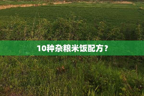 10种杂粮米饭配方？