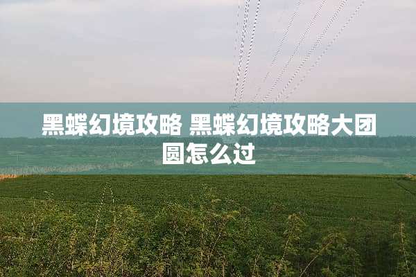 黑蝶幻境攻略 黑蝶幻境攻略大团圆怎么过