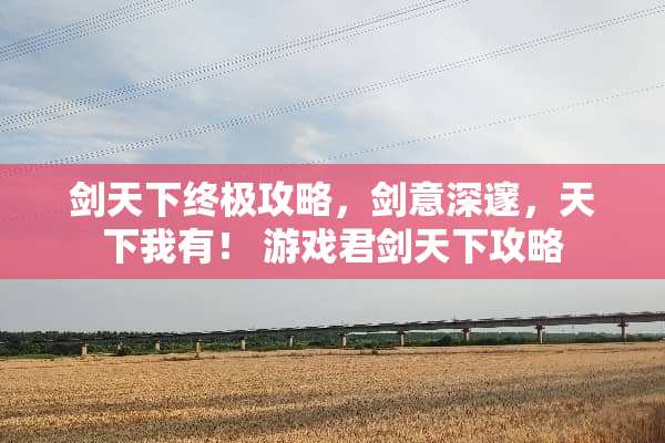剑天下终极攻略，剑意深邃，天下我有！ 游戏君剑天下攻略