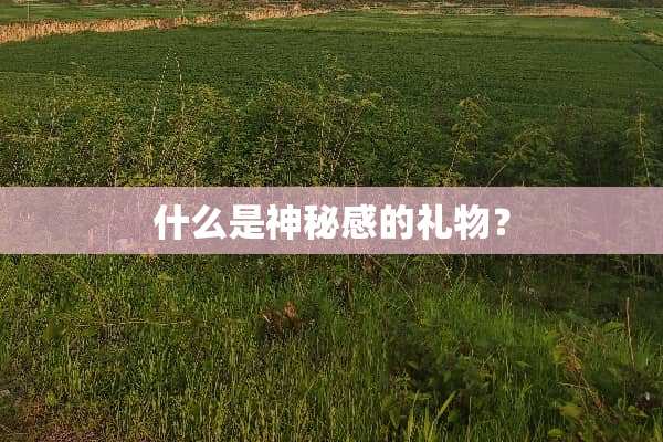 什么是神秘感的礼物？