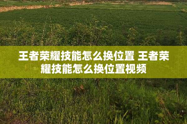 王者荣耀技能怎么换位置 王者荣耀技能怎么换位置视频