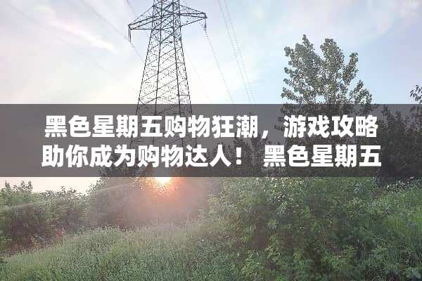 黑色星期五购物狂潮，游戏攻略助你成为购物达人！ 黑色星期五游戏攻略