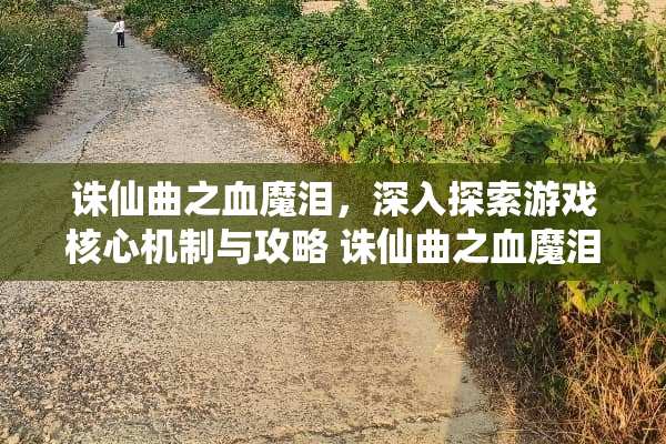 诛仙曲之血魔泪，深入探索游戏核心机制与攻略 诛仙曲之血魔泪游戏攻略