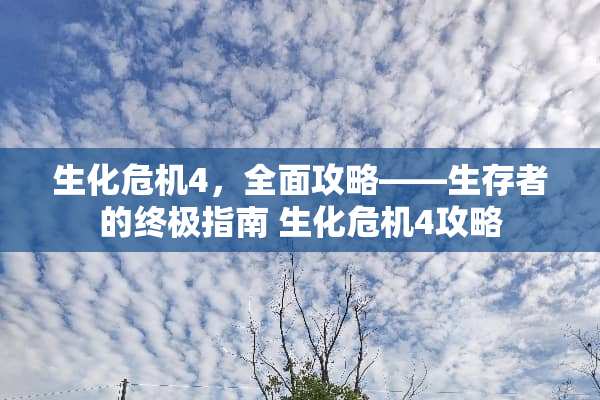 生化危机4，全面攻略——生存者的终极指南 生化危机4攻略