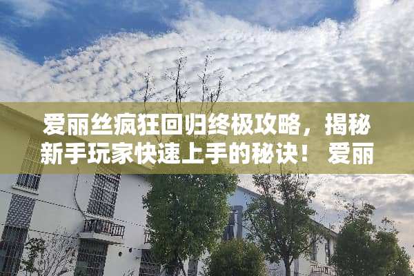 爱丽丝疯狂回归终极攻略，揭秘新手玩家快速上手的秘诀！ 爱丽丝疯狂回归攻略