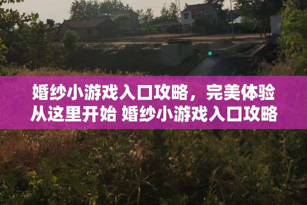 婚纱小游戏入口攻略，完美体验从这里开始 婚纱小游戏入口攻略