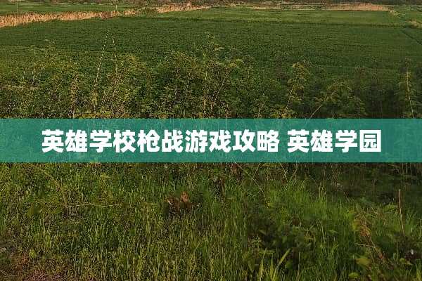 英雄学校*战游戏攻略 英雄学园
