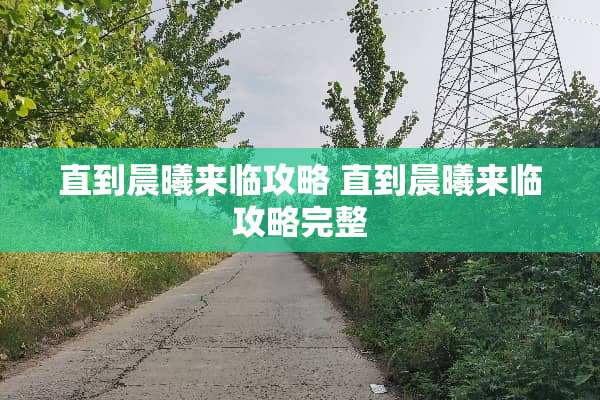 直到晨曦来临攻略 直到晨曦来临攻略完整
