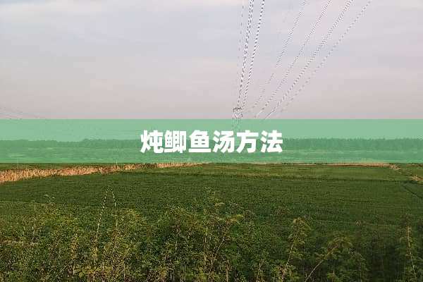炖鲫鱼汤方法