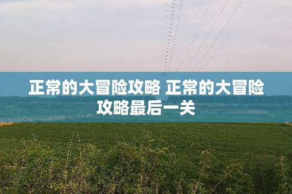 正常的大冒险攻略 正常的大冒险攻略最后一关