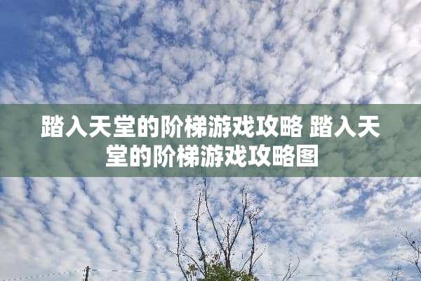 踏入天堂的阶梯游戏攻略 踏入天堂的阶梯游戏攻略图