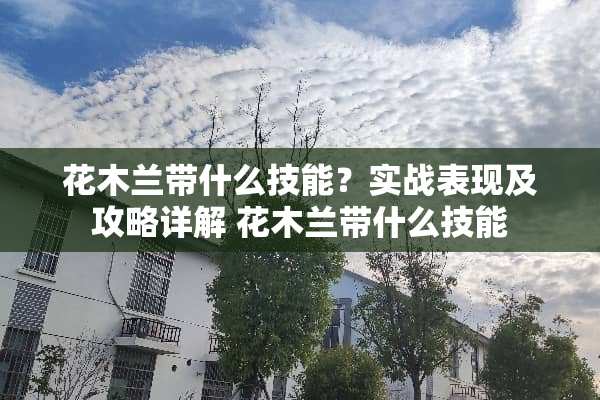花木兰带什么技能？实战表现及攻略详解 花木兰带什么技能