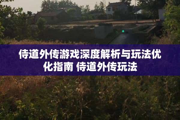 侍道外传游戏深度解析与玩法优化指南 侍道外传玩法